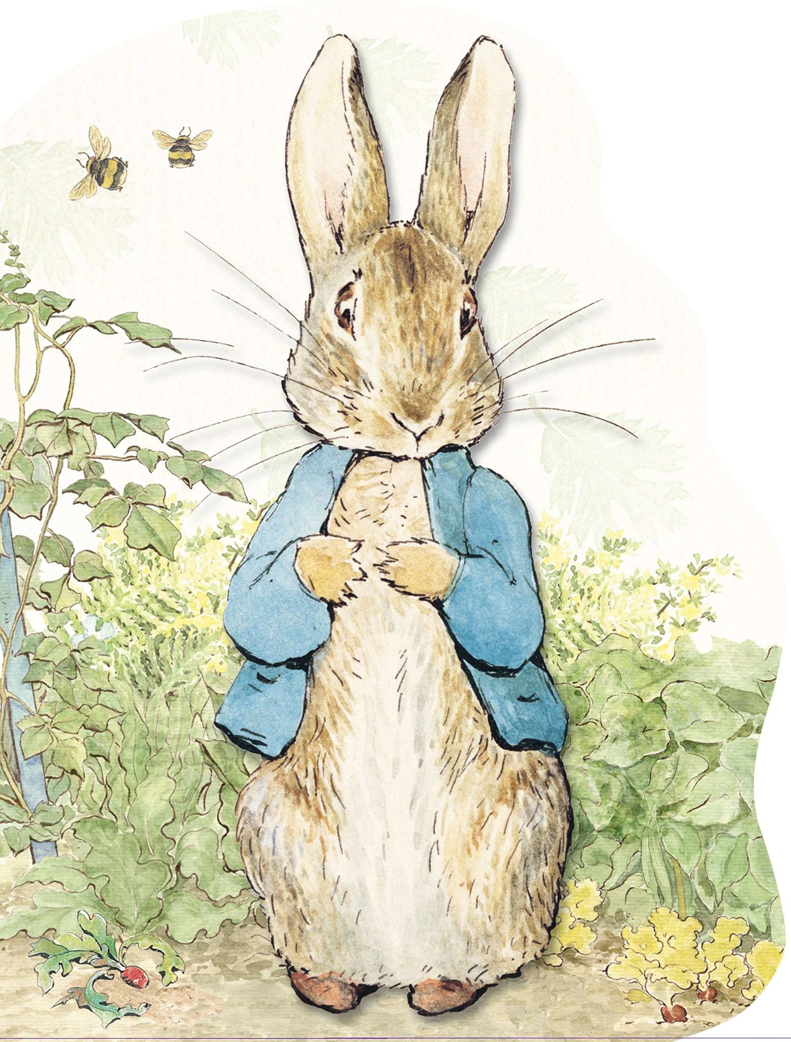 Peter Rabbit/Pieter Konijn/info - Cadosa